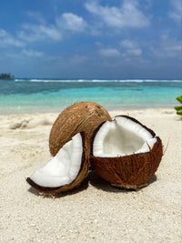 Coco
